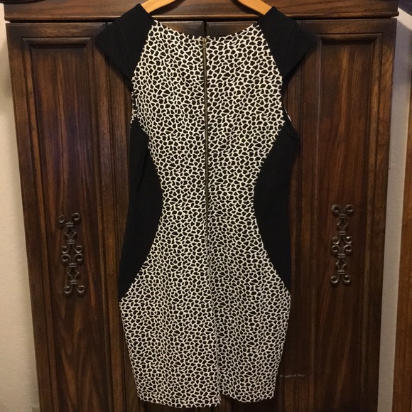Express Dress - Picture 2 of 2